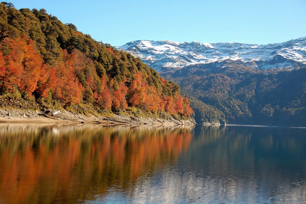 Malalcahuello, Conguillio und Salto de Laja